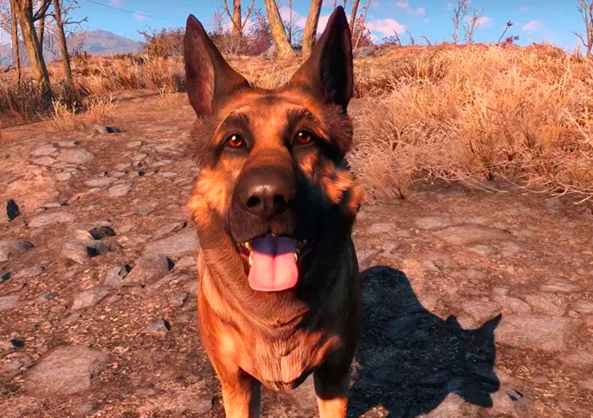 Muere River, la pastor alemán que sirvió de modelo para Albóndiga en Fallout 4